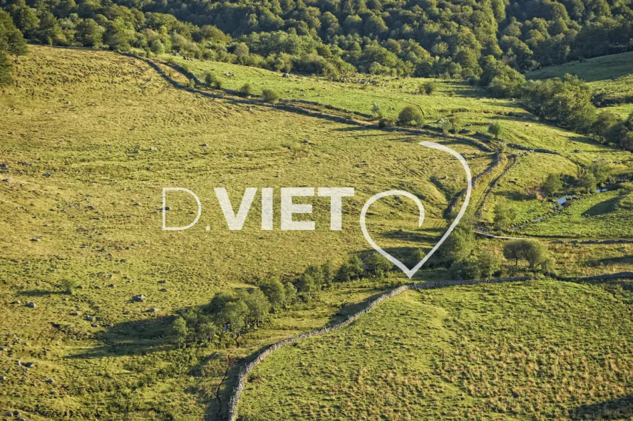 Photo TOULOUSE by VIET - Buron Aubrac