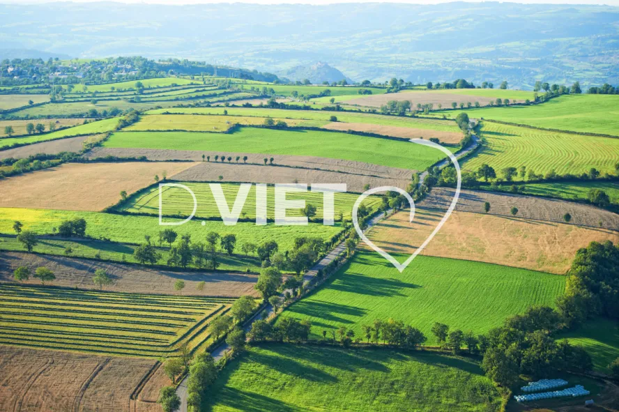 Photo TOULOUSE by VIET - VIET_006006