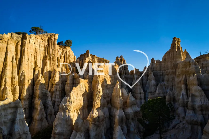 Photo TOULOUSE by VIET - Les Orgues Ille sur TET