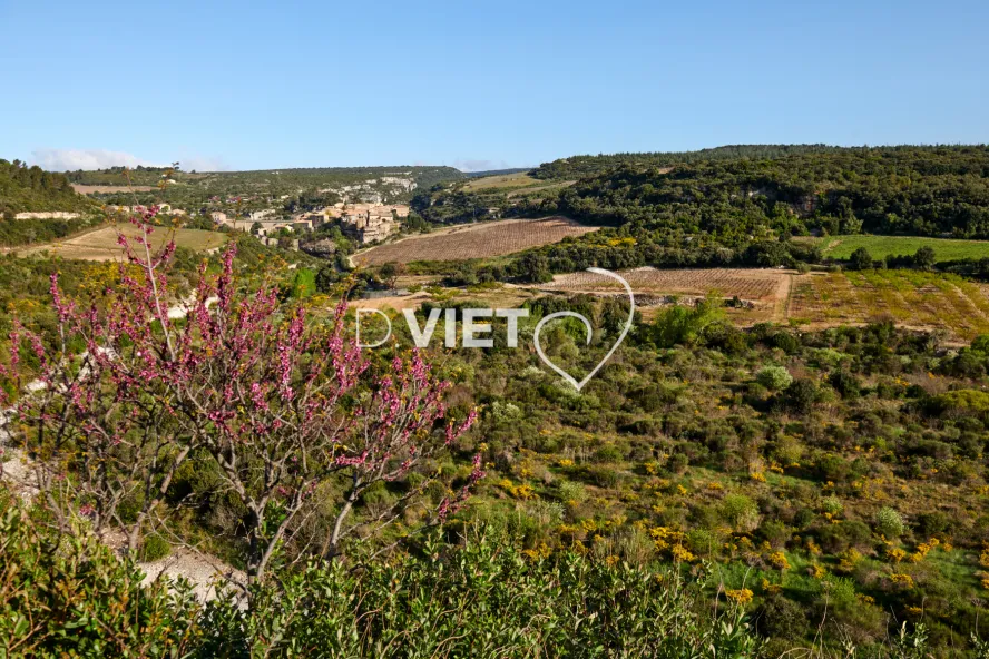 Photo TOULOUSE by VIET - MINERVE