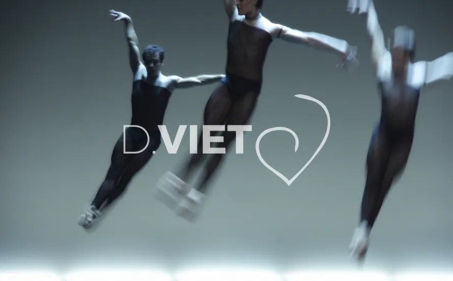 Photo TOULOUSE by VIET - Ballet du capitole