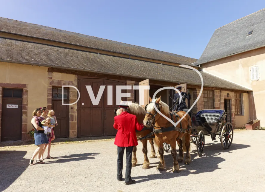 Photo TOULOUSE by VIET - Les Haras nationaux de Rodez