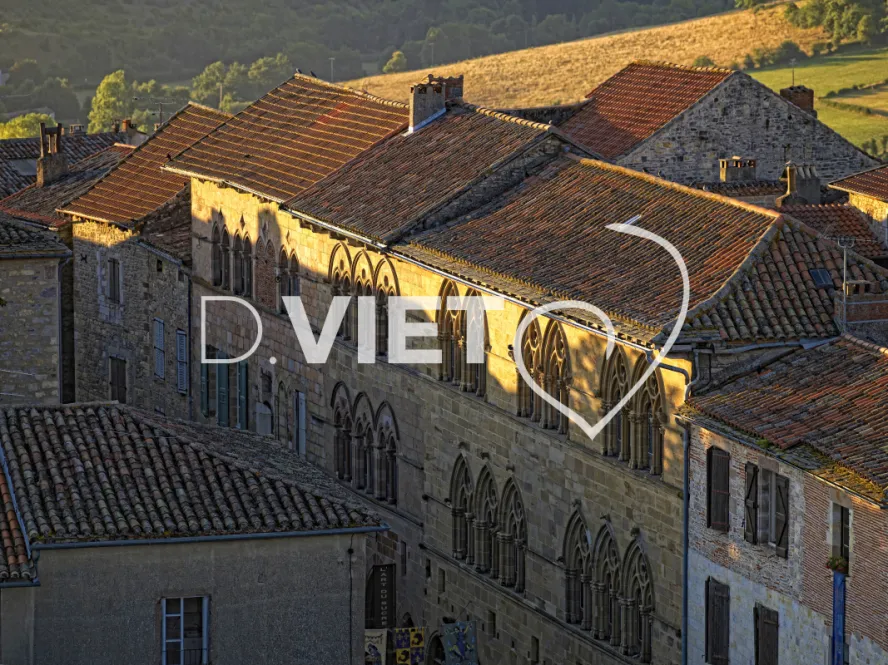 Photo TOULOUSE by VIET - VIET_003131