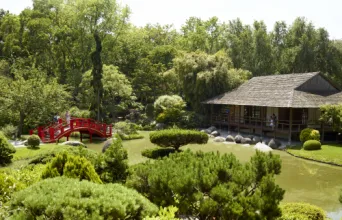 Photo TOULOUSE by VIET - Compans caffarelli, jardin japonais