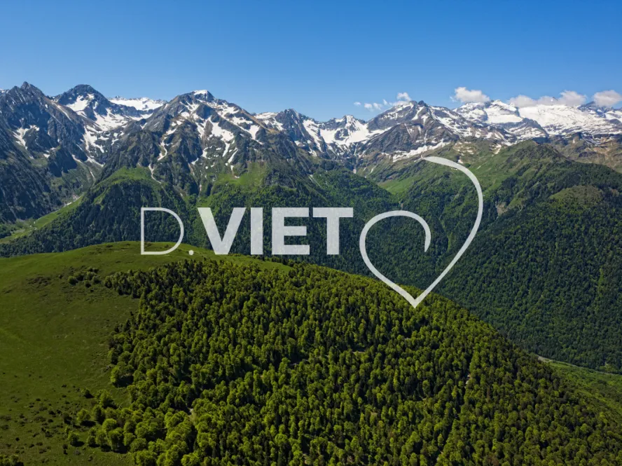 Photo TOULOUSE by VIET - L'Hospice de France