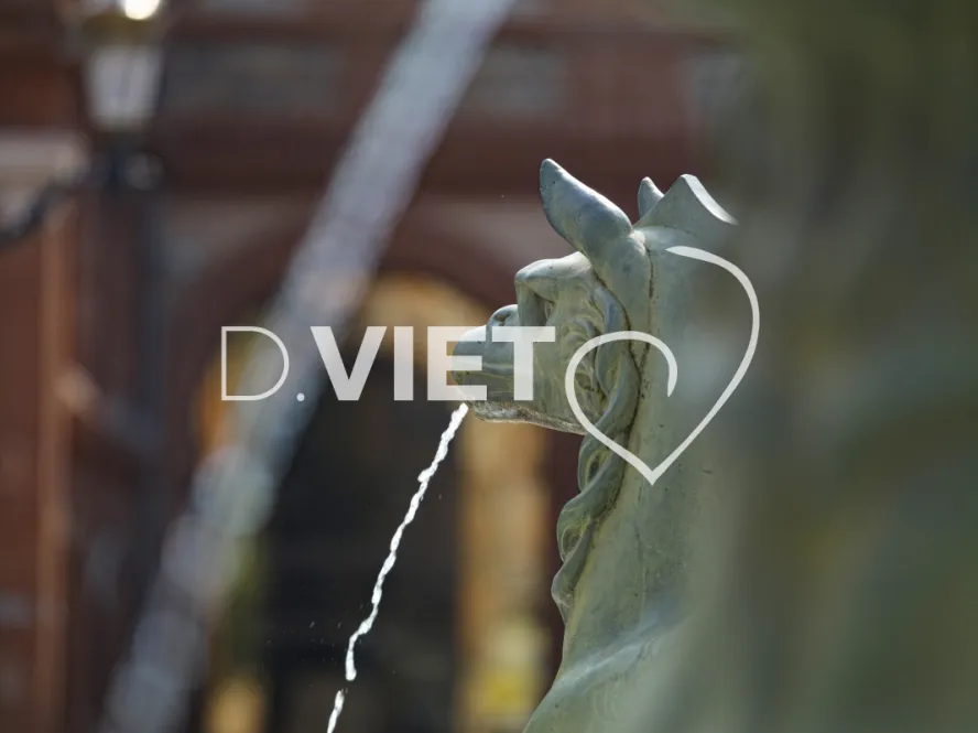 Photo TOULOUSE by VIET - La fontaine Dupuy