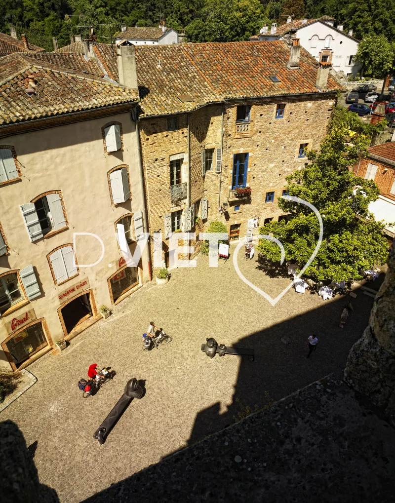 Photo TOULOUSE by VIET - VIET_003360