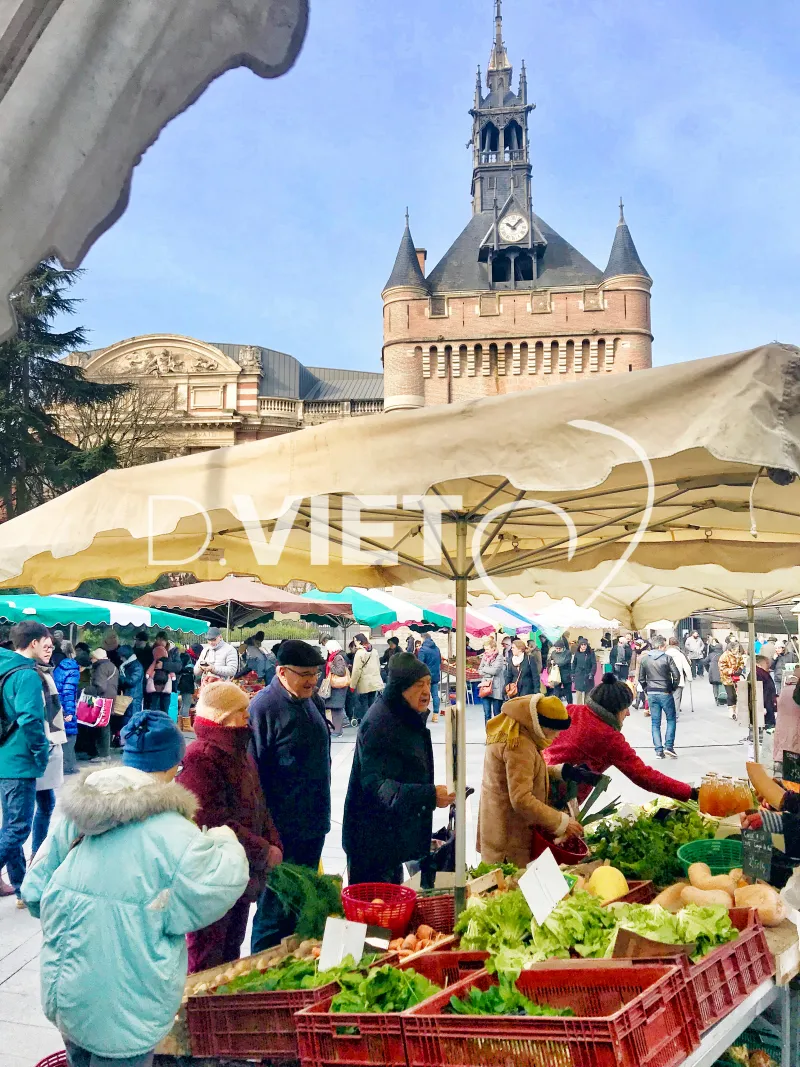 Photo TOULOUSE by VIET - VIET_008485