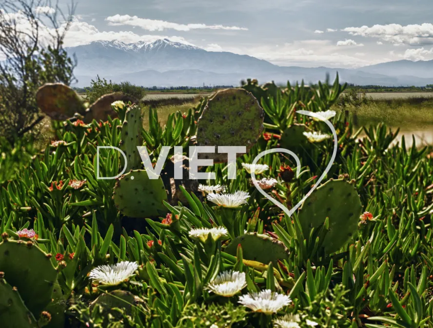 Photo TOULOUSE by VIET - Etangs de Canet