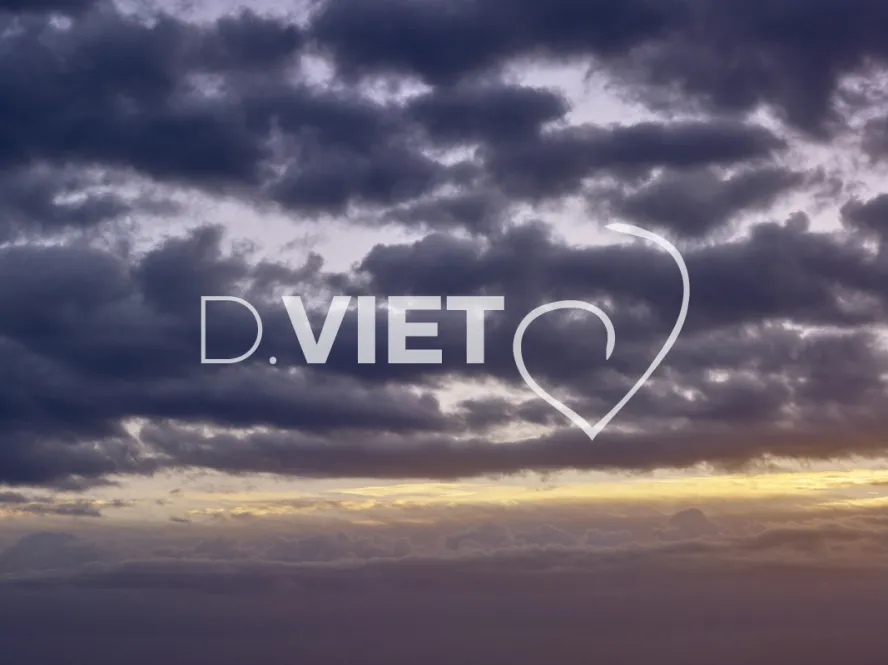 Photo TOULOUSE by VIET - BRUME