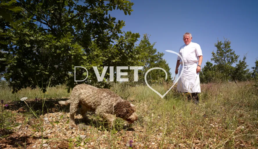 Photo TOULOUSE by VIET - l Ouysse