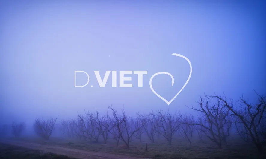 Photo TOULOUSE by VIET - Verger vers Thuir