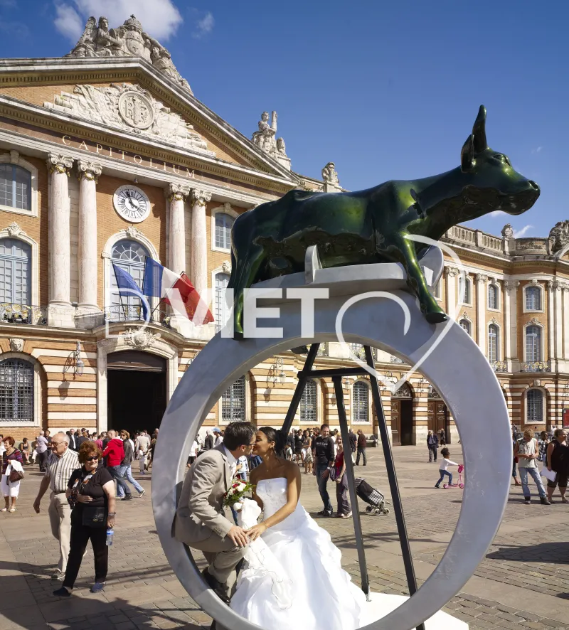 Photo TOULOUSE by VIET - COW PARADE TOULOUSE 2012
