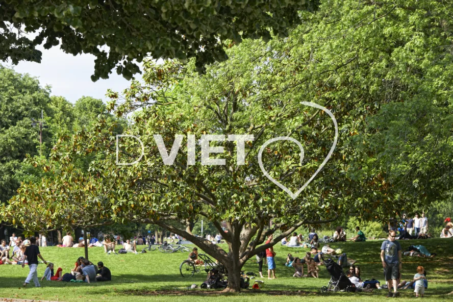 Photo TOULOUSE by VIET - Garonne