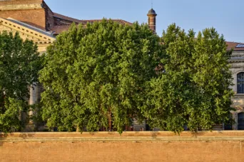 Photo TOULOUSE by VIET - La Garonne