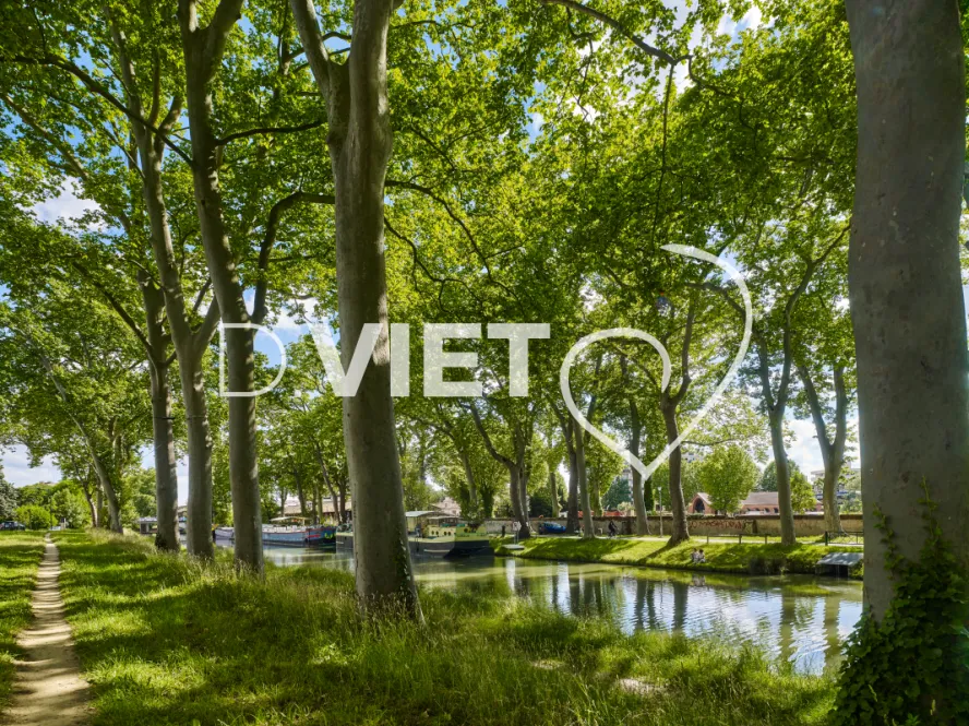 Photo TOULOUSE by VIET - Canal du midi