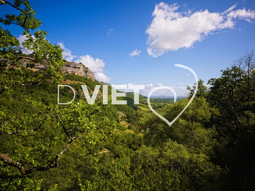 Photo TOULOUSE by VIET - AUTOIRE