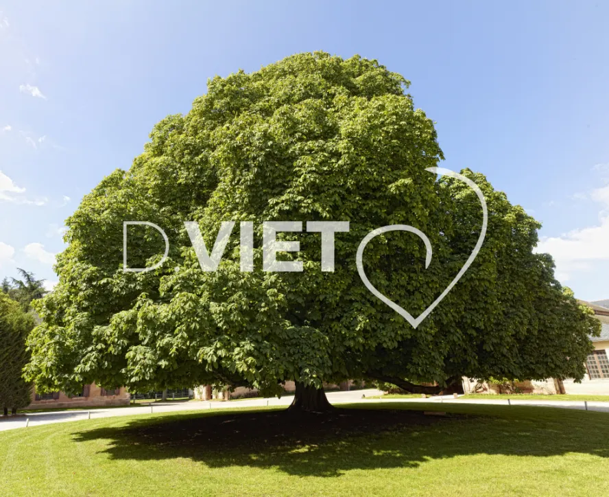 Photo TOULOUSE by VIET - Les Haras nationaux de Rodez