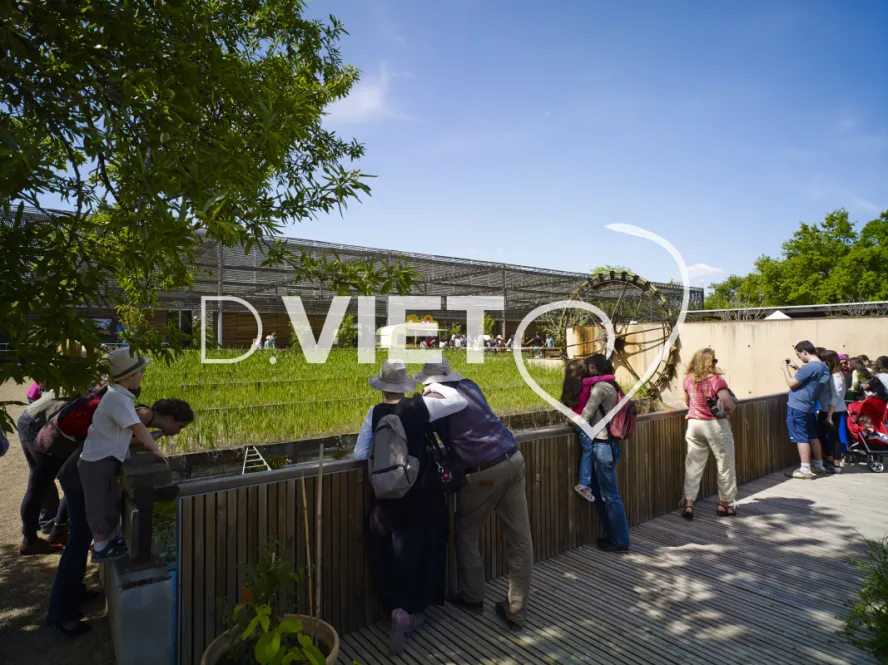 Photo TOULOUSE by VIET - RÉVEIL DES JARDINS : LE BAL CRÉOLE