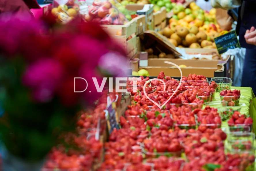 Photo TOULOUSE by VIET - VIET_008901