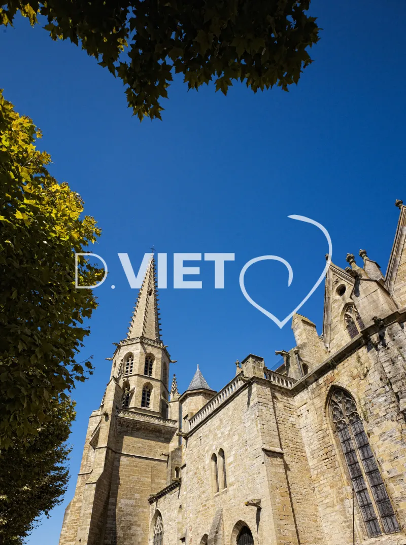 Photo TOULOUSE by VIET - Mirepoix