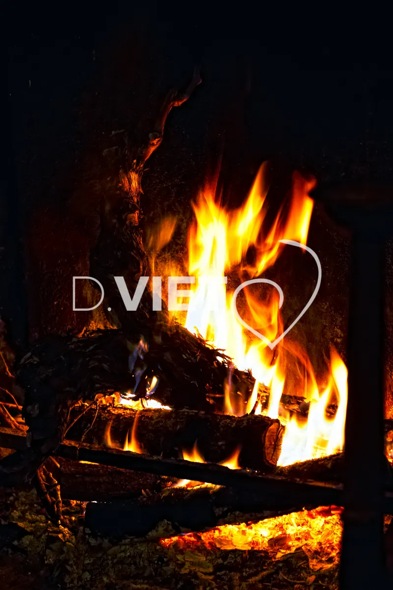 Photo TOULOUSE by VIET - Armagnac