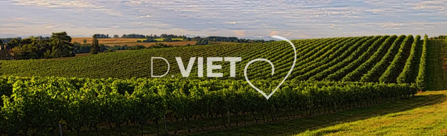 Photo TOULOUSE by VIET - VIET_004738