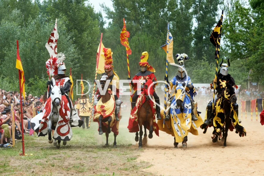 Photo TOULOUSE by VIET - Chevalerie et tournois festifs