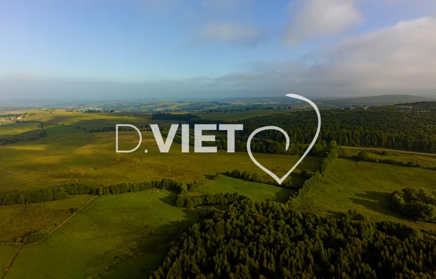 Photo TOULOUSE by VIET - Laguiole