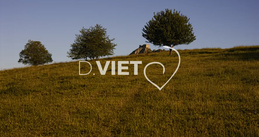 Photo TOULOUSE by VIET - Chateau de montsegur