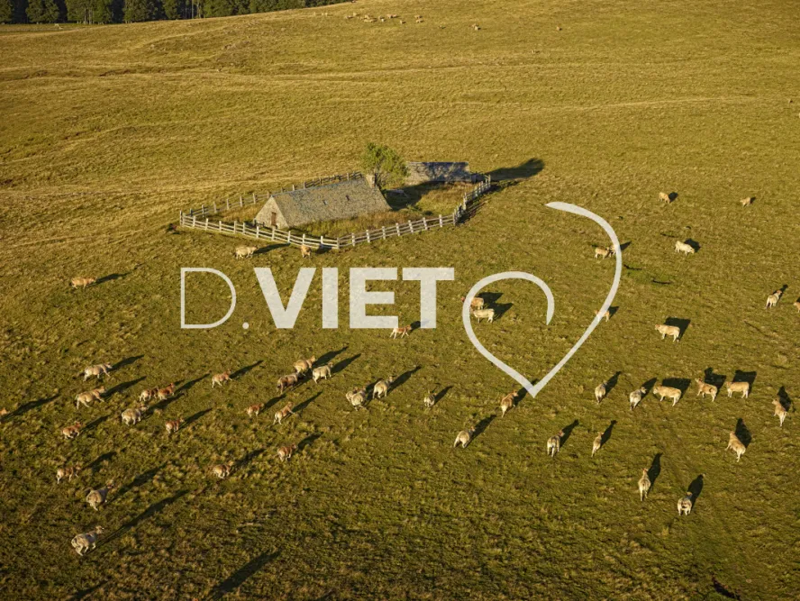 Photo TOULOUSE by VIET - Buron Aubrac