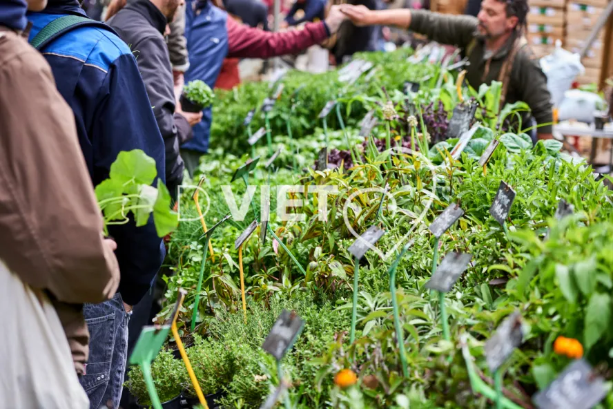 Photo TOULOUSE by VIET - VIET_008894