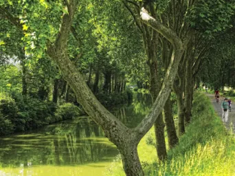 Photo TOULOUSE by VIET - Canal du Midi