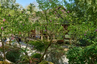 Photo TOULOUSE by VIET - Jardin Japonais