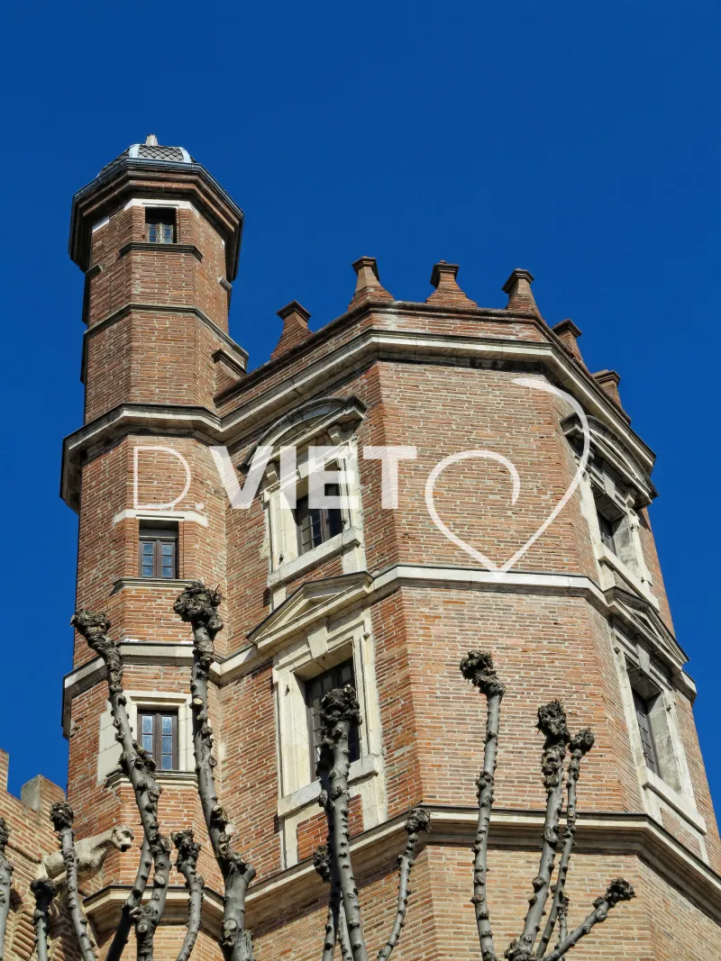Photo TOULOUSE by VIET - Hhotel de Pierre Dahus