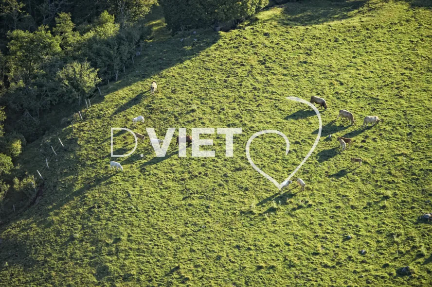 Photo TOULOUSE by VIET - Buron Aubrac