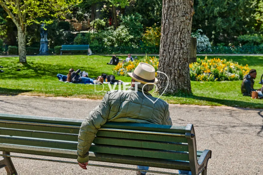 Photo TOULOUSE by VIET - Jardin des plantes