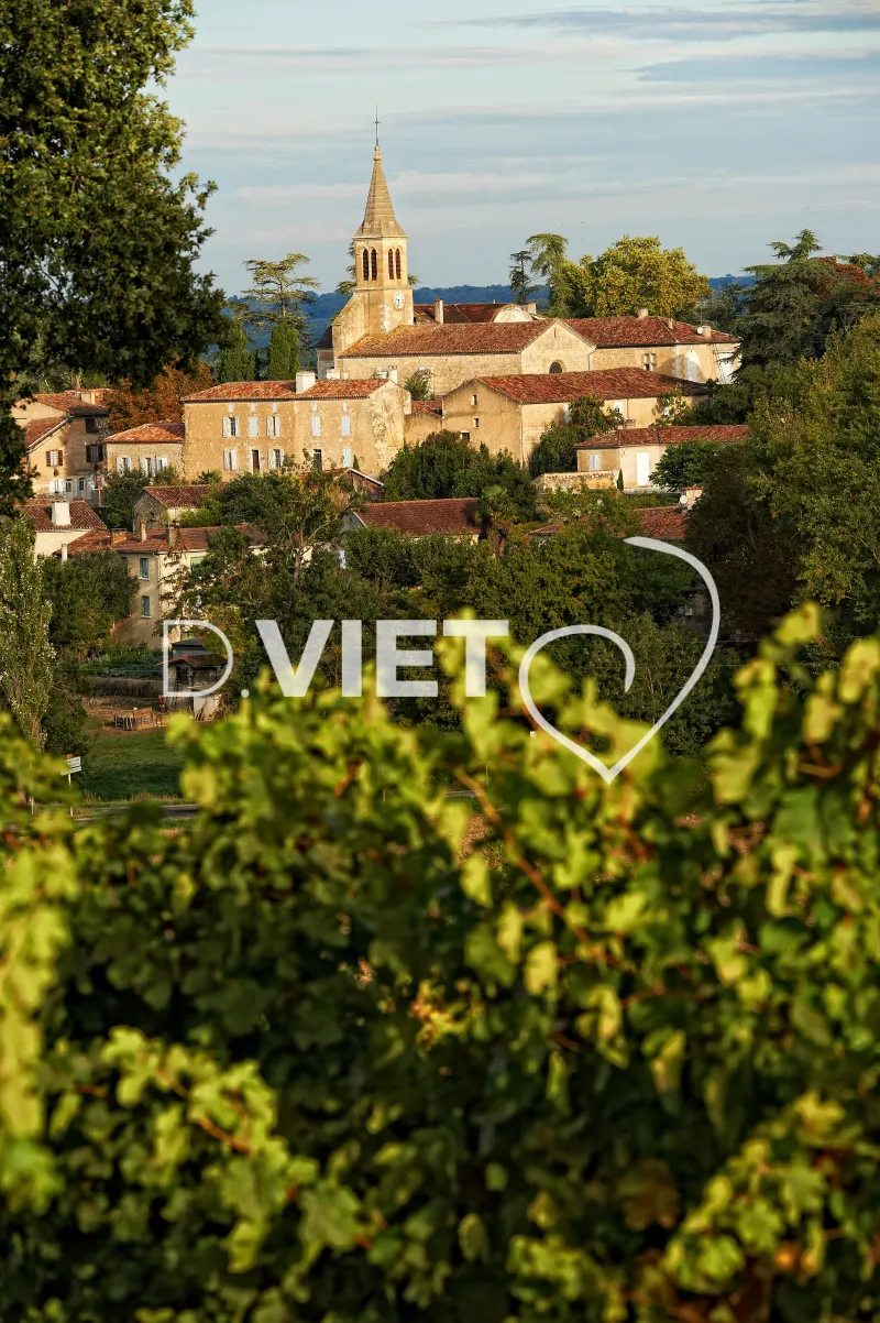 Photo TOULOUSE by VIET - Cassaigne