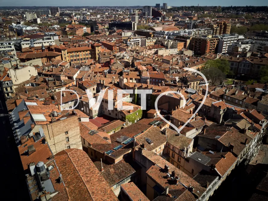 Photo TOULOUSE by VIET - toits de Toulouse