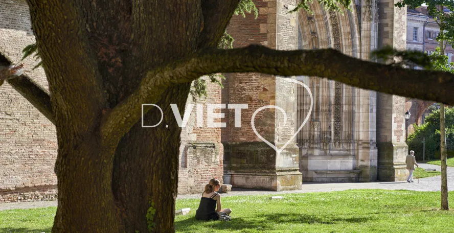 Photo TOULOUSE by VIET - Saint ETIENNE