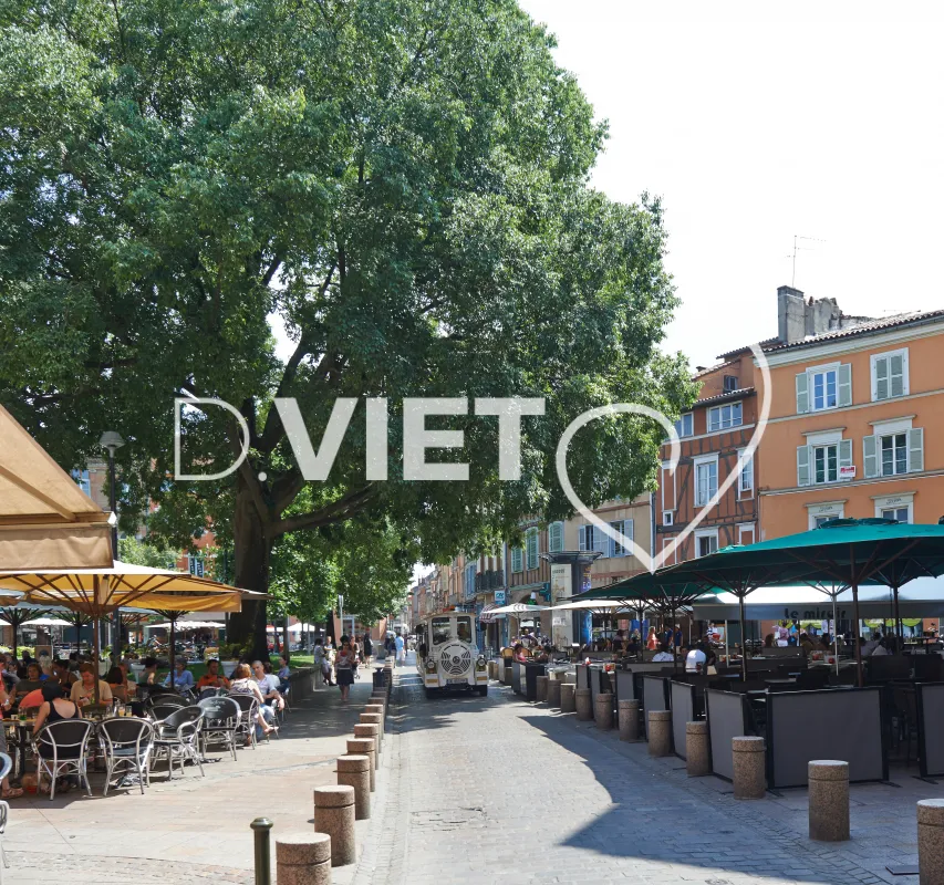 Photo TOULOUSE by VIET - Petit train touristique Place ST Georges