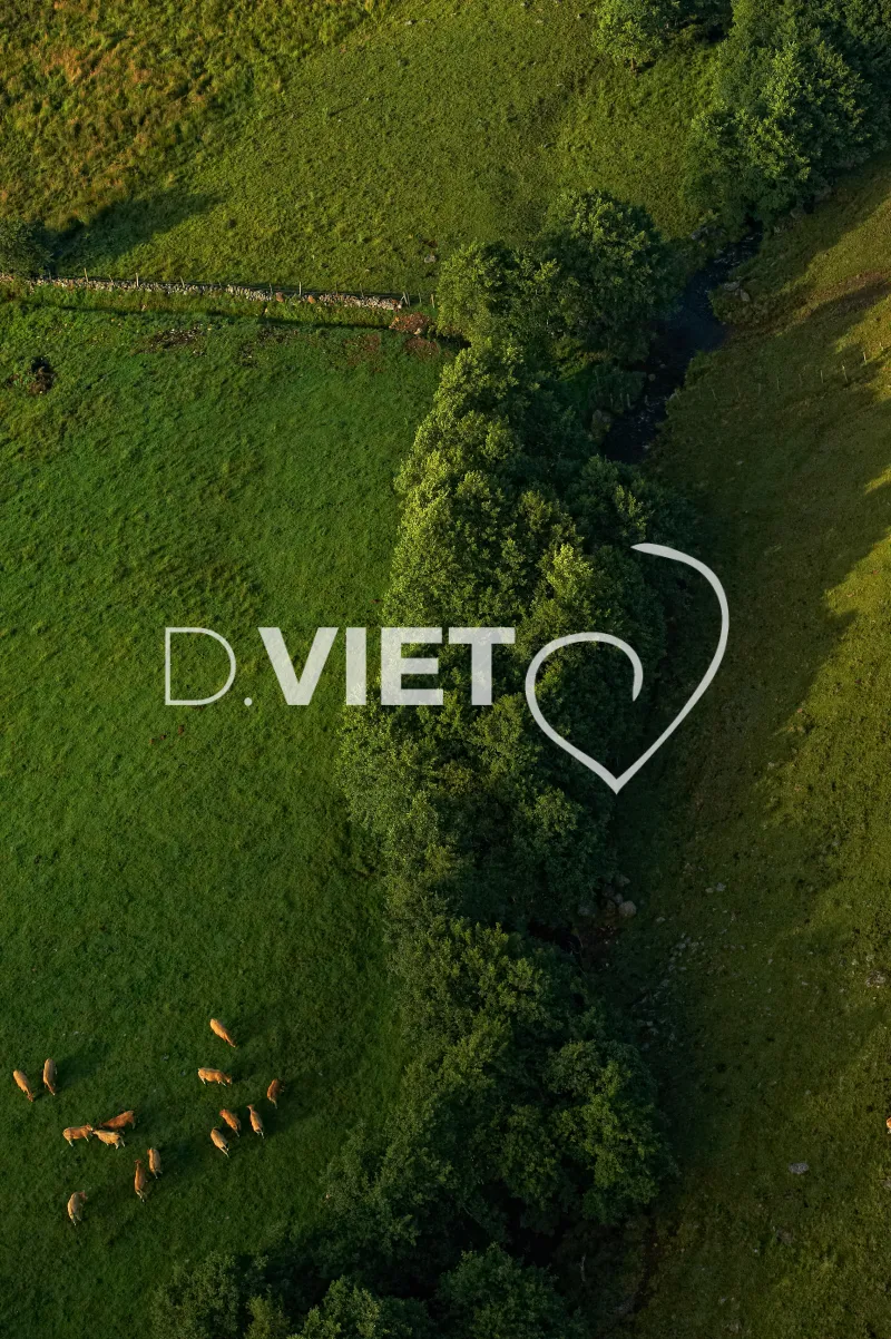 Photo TOULOUSE by VIET - Laguiole