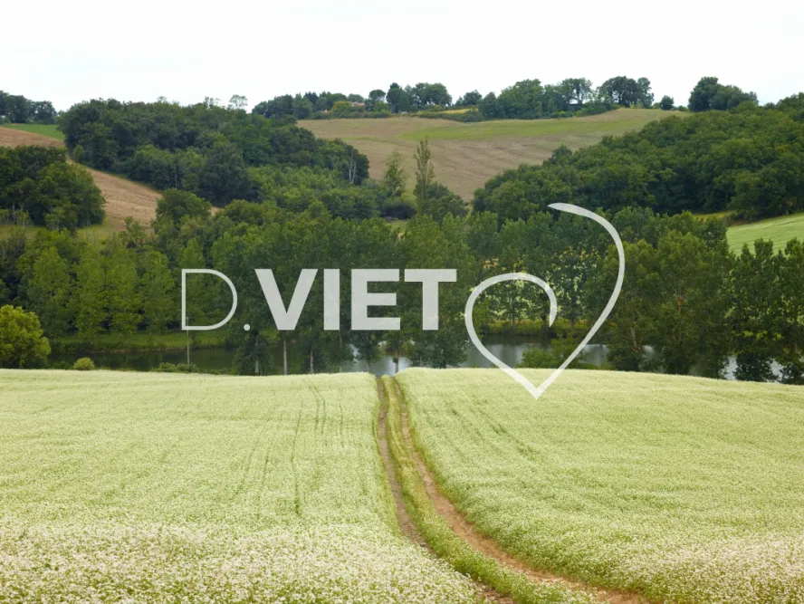 Photo TOULOUSE by VIET - Tournesol et Lauragais