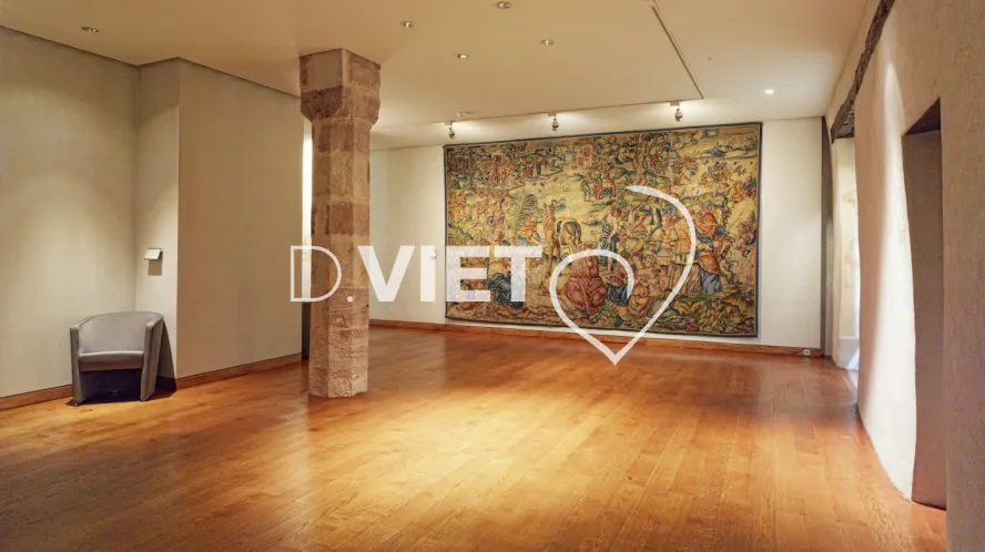 Photo TOULOUSE by VIET - Musee Fenaille