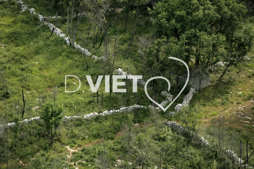 Photo TOULOUSE by VIET - VIET_007504