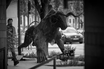 Photo TOULOUSE by VIET - VIET_011111