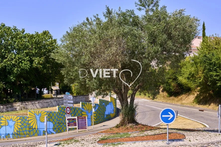 Photo TOULOUSE by VIET - DREMIL LAFAGE 