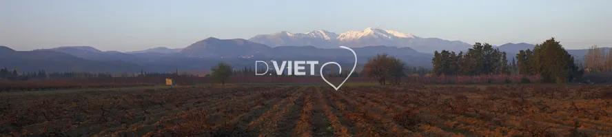 Photo TOULOUSE by VIET - Canigou