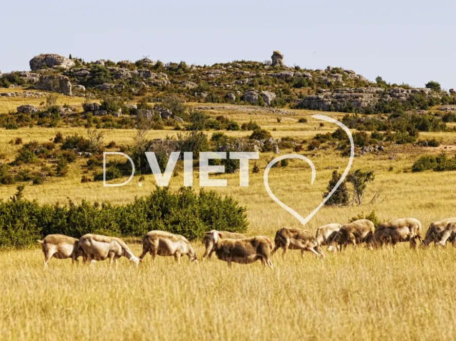 Photo TOULOUSE by VIET - VILLAGE FORTIFIÉ DE LA COUVERTOIRADE