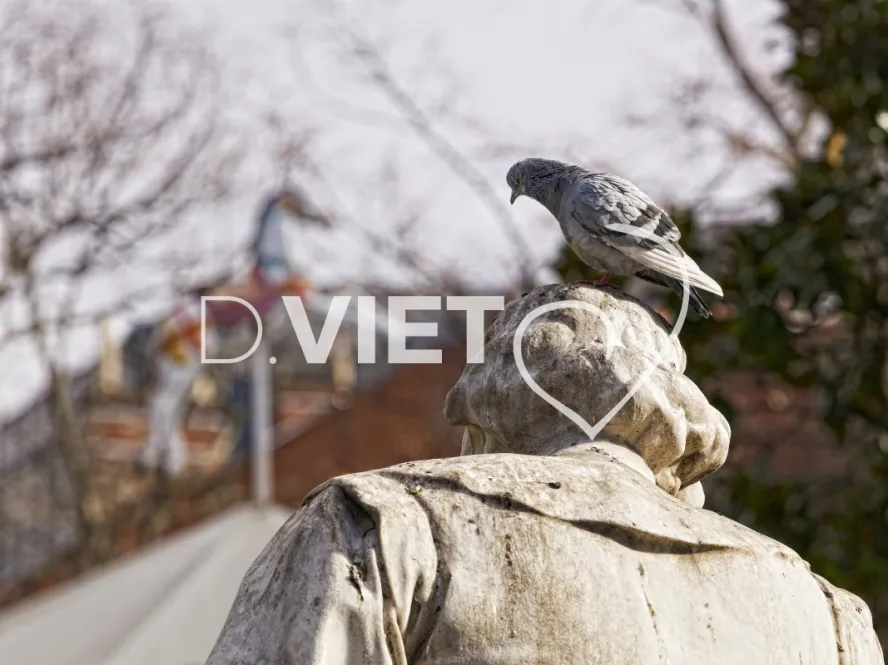 Photo TOULOUSE by VIET - Statue de la Place Wilson